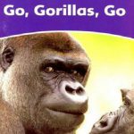 Go Gorillas Go