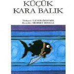 Kucuk Kara Balık کتاب داستان ترکی
