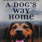 A Dogs Way Home کتاب مسیر بازگشت یک سگ به خانه