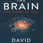 The Brain کتاب مغز