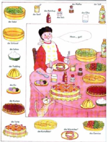 Duden Bildworterbuch fur Kinder  فرهنگ لغت تصویر  برای کودکان