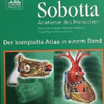 کتاب آناتومی انسان آلمانی