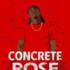 کتاب Concrete Rose گل رز بتونی اثر انجی توماس