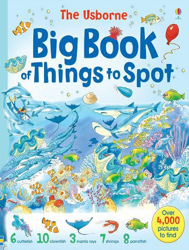 Big Book of Things to Spot  (رنگی)