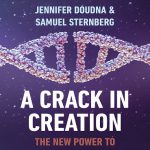 خرید کتاب A crack in creation کتاب شکافی در خلقت به زبان اصلی | خرید کتاب زبان با تخفیف
