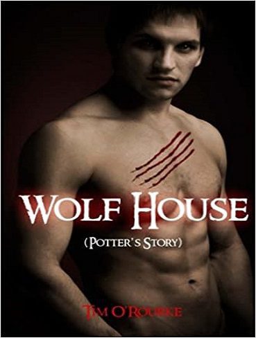Wolf House خانه گرگ