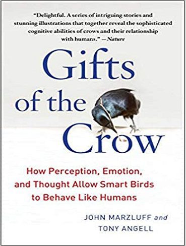 Gifts of the Crow هدیه کلاغ ها
