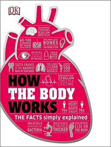 How the Body Works نحوه عملکرد بدن