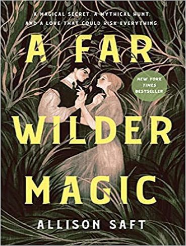 a far wilder magic book
