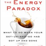 کتاب The Energy Paradox