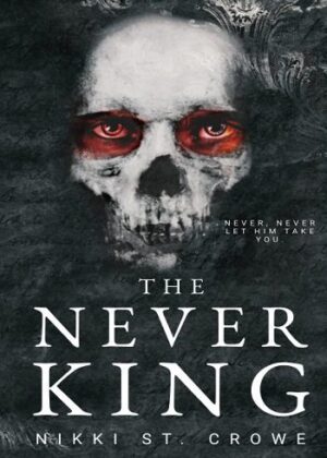 قیمت و خرید کتاب The Never King (Vicious Lost Boys Book 1)