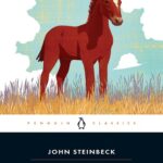 کتاب The Red Pony