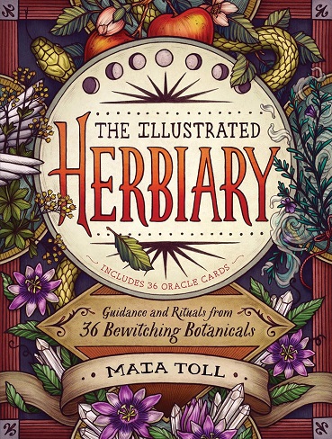 کتاب The Illustrated Herbiary: Guidance and Rituals from 36 Bewitching Botanicals (Wild Wisdom Book 1) (رنگی) (بدون سانسور)