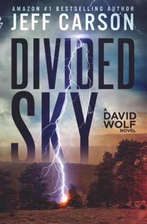 کتاب Divided Sky (David Wolf Mystery Thriller Series Book 13) (بدون سانسور)