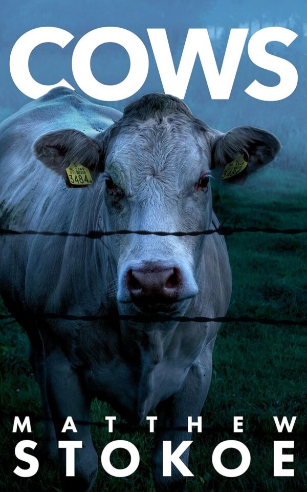 Cows